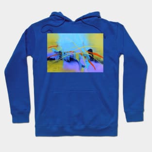 life paths Hoodie